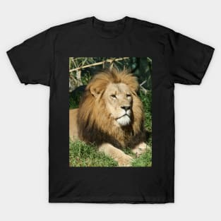 King Of The Jungle T-Shirt